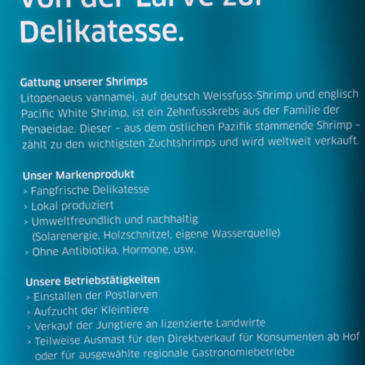 Spaziergang zu Aemme Shrimp am 13.9.2020