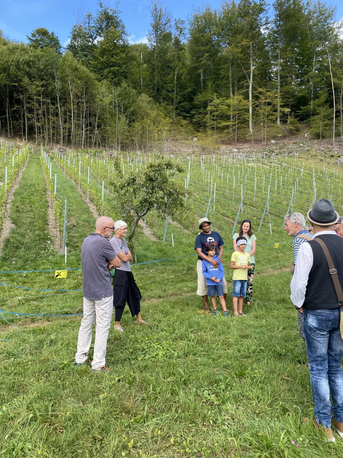 Spaziergang zu Rebbau am 12. September 2021