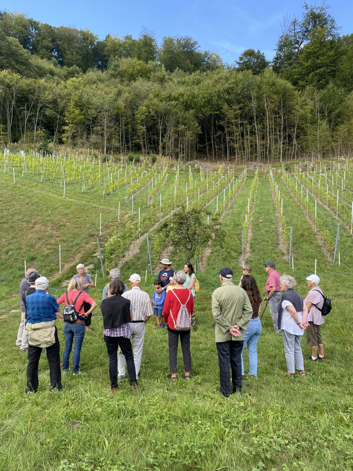 Spaziergang zu Rebbau am 12. September 2021