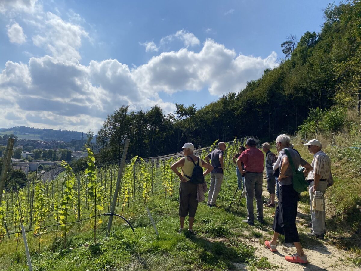 Spaziergang zu Rebbau am 12. September 2021