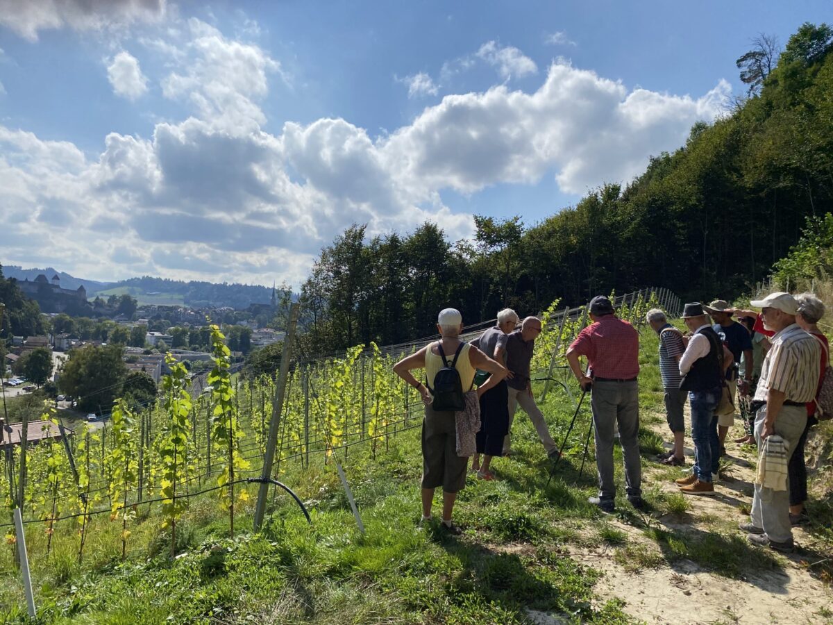 Spaziergang zu Rebbau am 12. September 2021