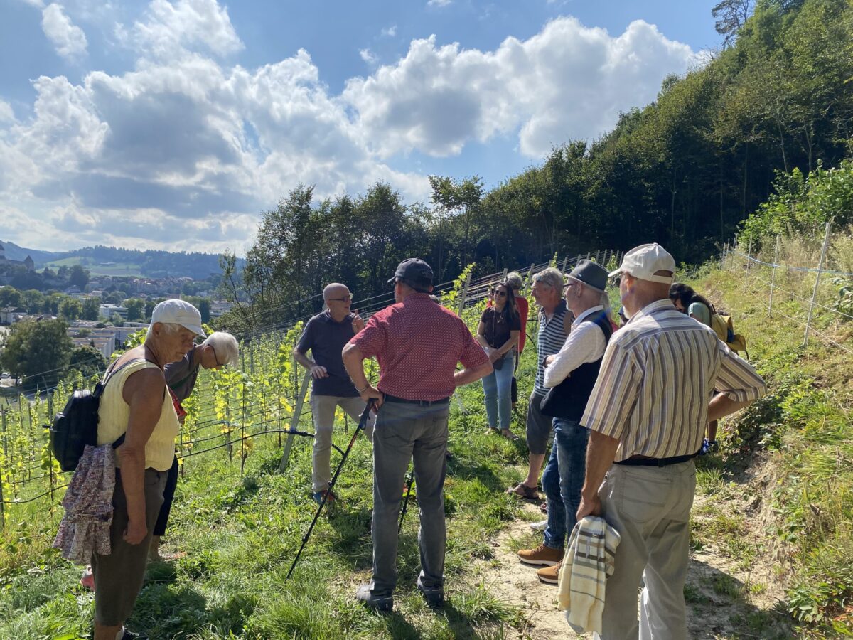 Spaziergang zu Rebbau am 12. September 2021